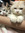 member photo member photo