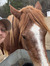 Becky C...