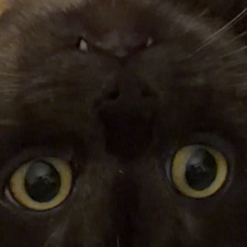 Izzy