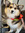 member photo member photo