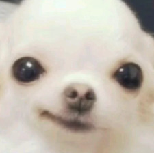 Ada