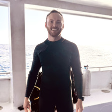 David Guild