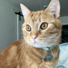 Chloe