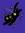 ⋆ qvaeu ⋆