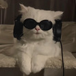 dan