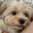 Theda