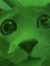 Kyle Wh...
