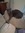 Starcat