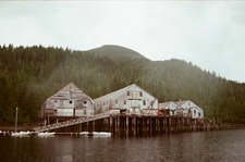 Jack Hillman