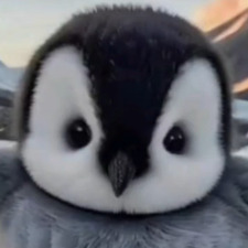 oli