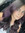 Abby Feliciano
