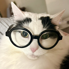Tabitha