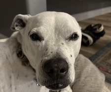 Sam