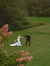 Meg Devine