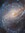 Aster