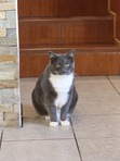 Rocío