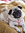 member photo member photo