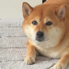 Mi