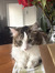 Abby