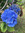 member photo member photo