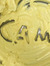 Cam