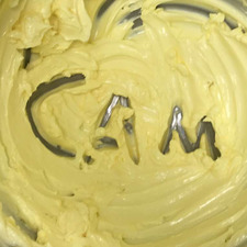 Cam