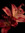 Lily’s