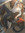 member photo member photo