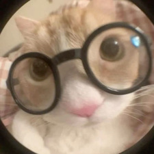 Reading Kitty