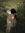 Amelie