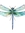 Dragonfly  Nora