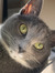 Tonya H...