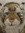 teddyrocker