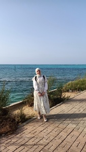 هاميس محمود