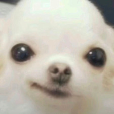Spunkboy