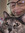 member photo member photo