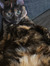 Navi