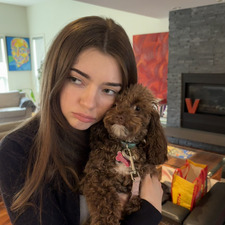 Ava