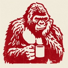 Ilyas B