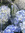 member photo member photo