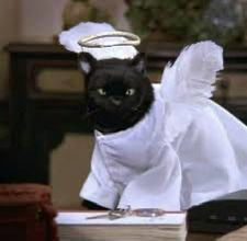 Romy Saplicki