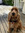 mark dog