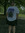 James Pross