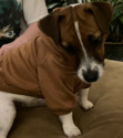 Elliot