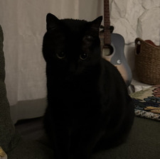 Cass