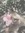 Jolee T