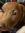 member photo member photo