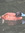 Chaeli Lawson