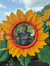 Erin Davis