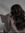Shay